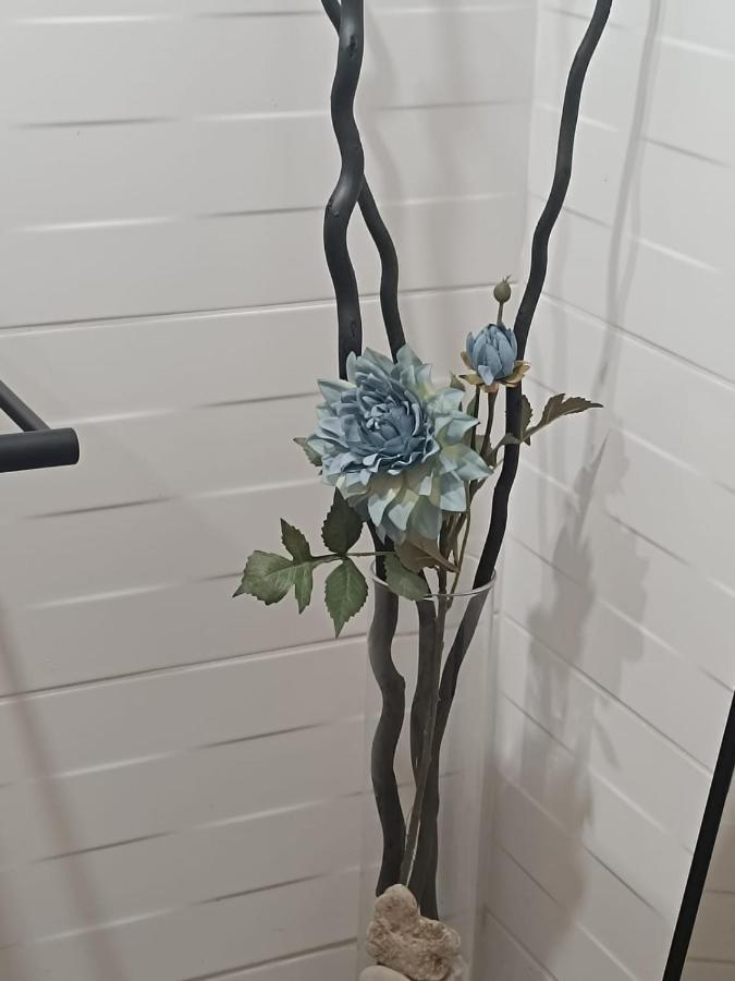 Apartament Anfiteatre Roma Tarragona Exteriör bild